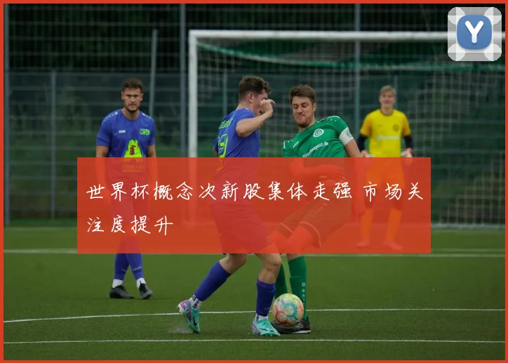 世界杯概念次新股集体走强 市场关注度提升