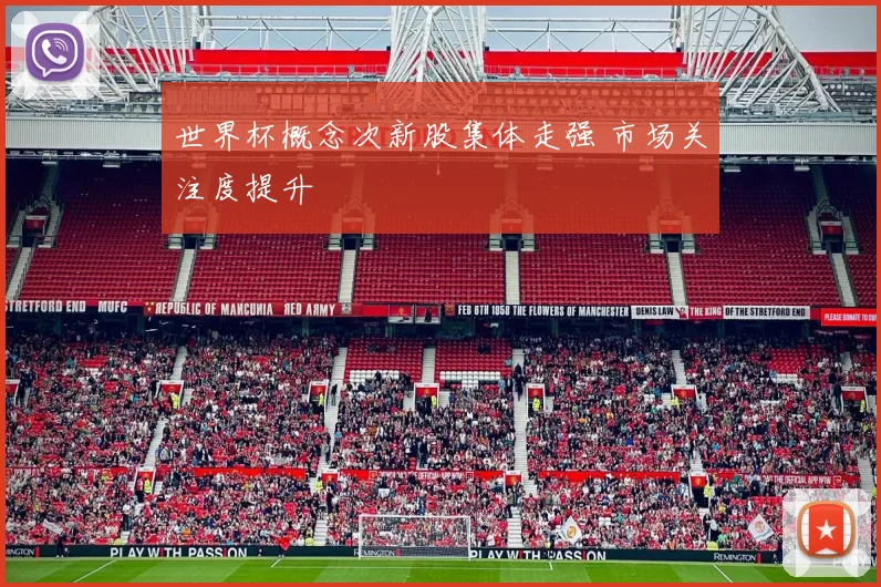 世界杯概念次新股集体走强 市场关注度提升
