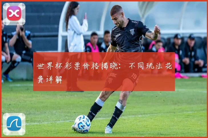 世界杯彩票价格揭晓：不同玩法花费详解