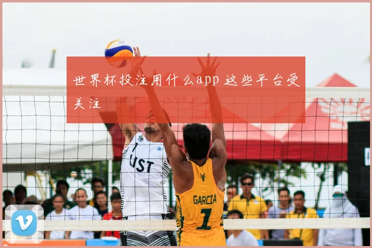 世界杯投注用什么app 这些平台受关注