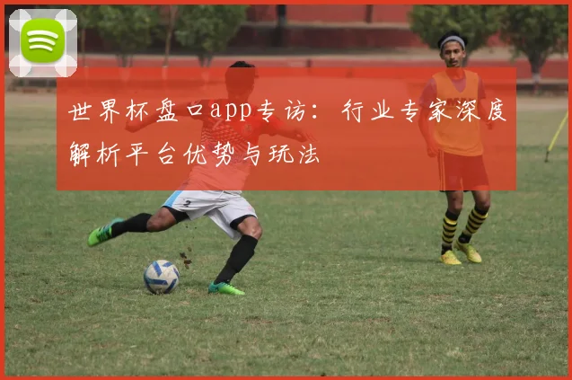 世界杯盘口app专访：行业专家深度解析平台优势与玩法