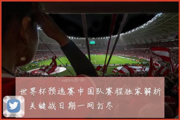 世界杯预选赛中国队赛程独家解析：关键战日期一网打尽