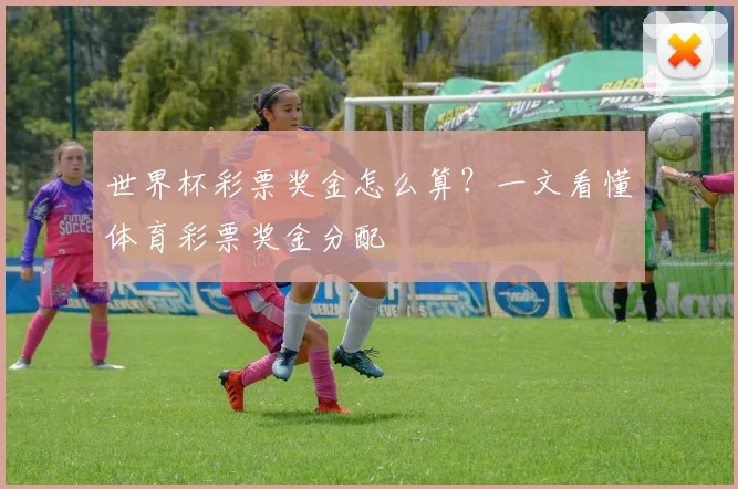 世界杯彩票奖金怎么算？一文看懂体育彩票奖金分配
