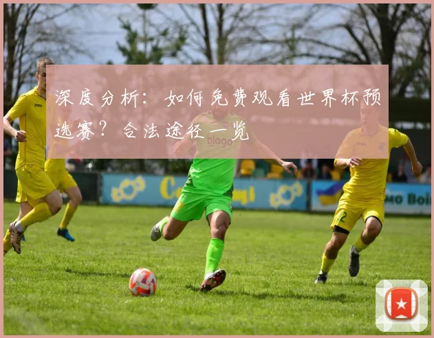 深度分析：如何免费观看世界杯预选赛？合法途径一览