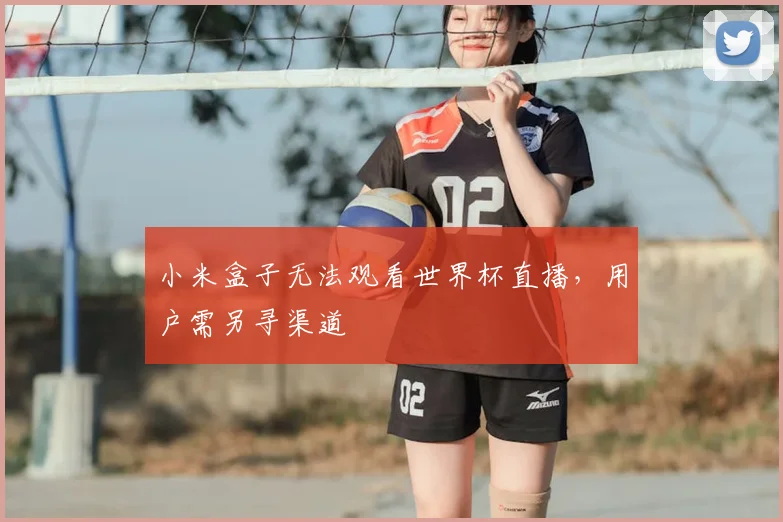 小米盒子无法观看世界杯直播，用户需另寻渠道